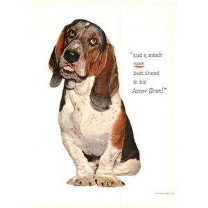1952 Arrow Shirts Menswear Vintage Print Ad basset Hound Best Friend Wall Art